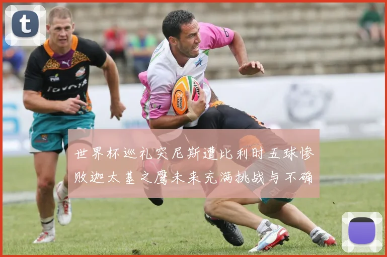 世界杯巡礼突尼斯遭比利时五球惨败迦太基之鹰未来充满挑战与不确定性