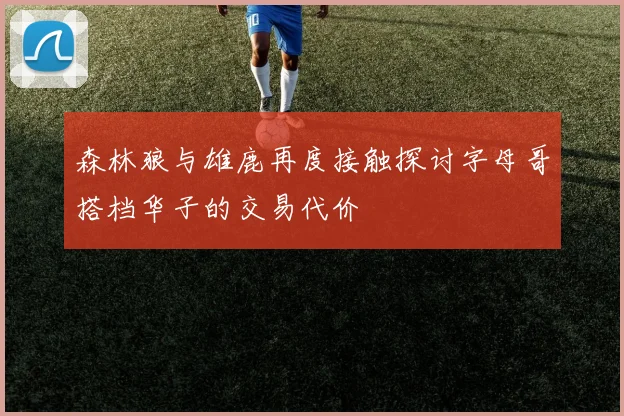 森林狼与雄鹿再度接触探讨字母哥搭档华子的交易代价